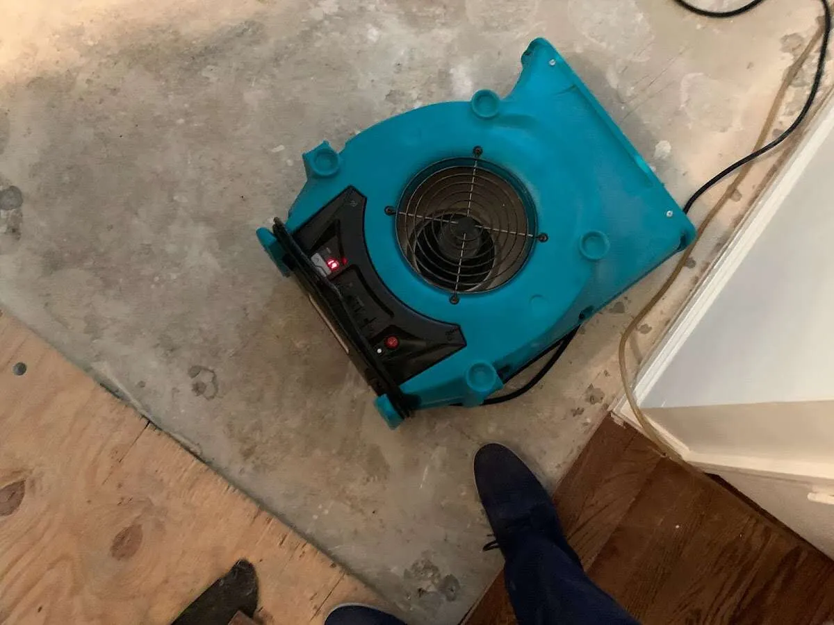 Air mover drying subfloor during Leak Detection & Repair in Molalla